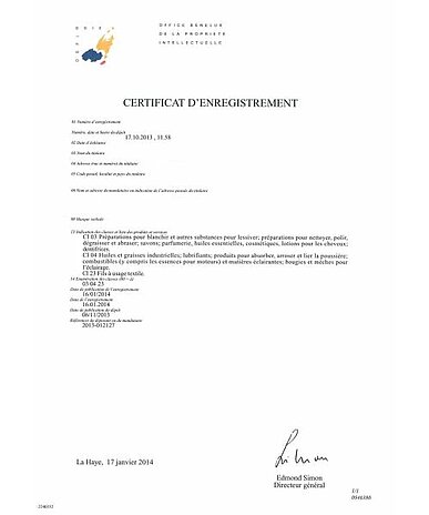 Vertretung des Markeninhabers bei Widerspruch gegen seine Markenanmeldung in Benelux
