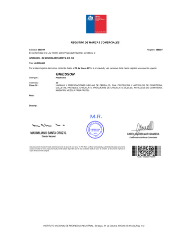 Markenverlängerung Chile