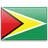 Trademark Monitoring Guyana