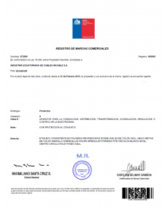 Renewal of Design Patent in Chile
