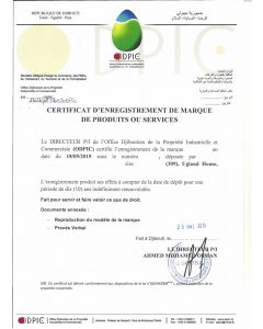 Change of contact details of registered owner of a trademark in Djibouti