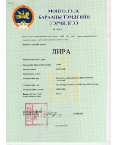 Legal representative for trademark in Mongolia