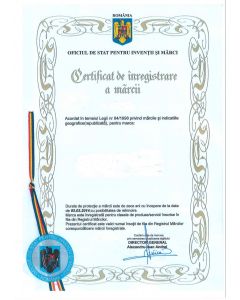 Legal representative for trademark in Romania