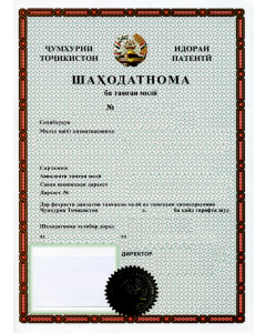 Legal representative for trademark in Tajikistan