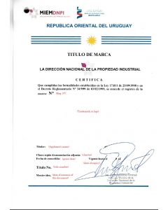 Change of contact details of registered owner of a trademark in Uruguay